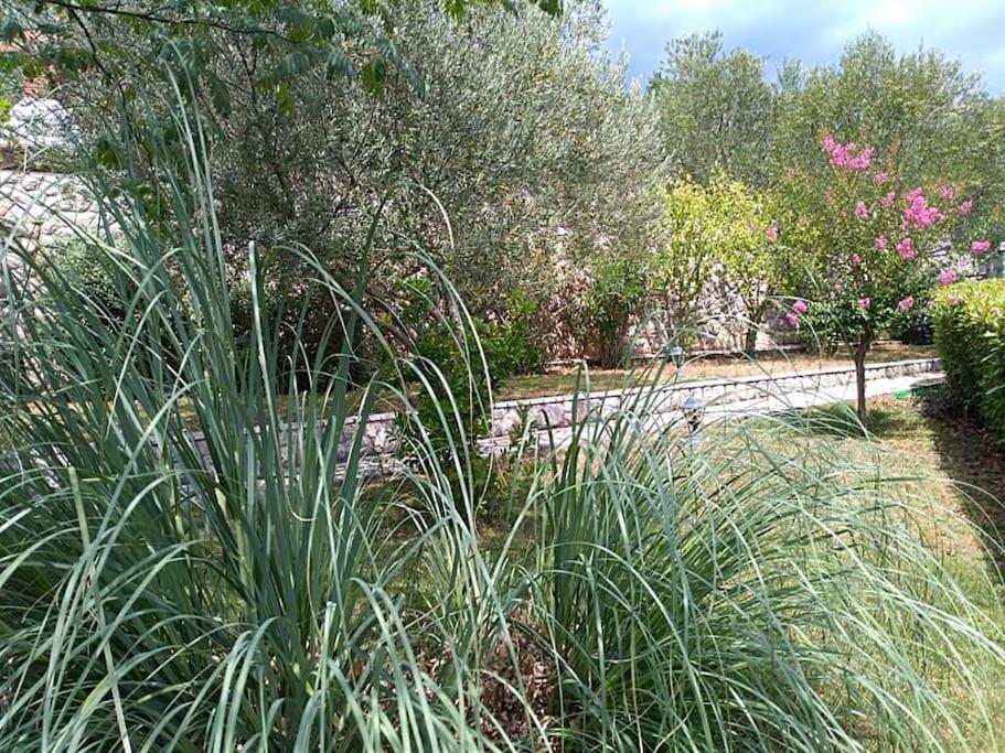 Apartment Mediterranean Garden Rijeka Eksteriør bilde