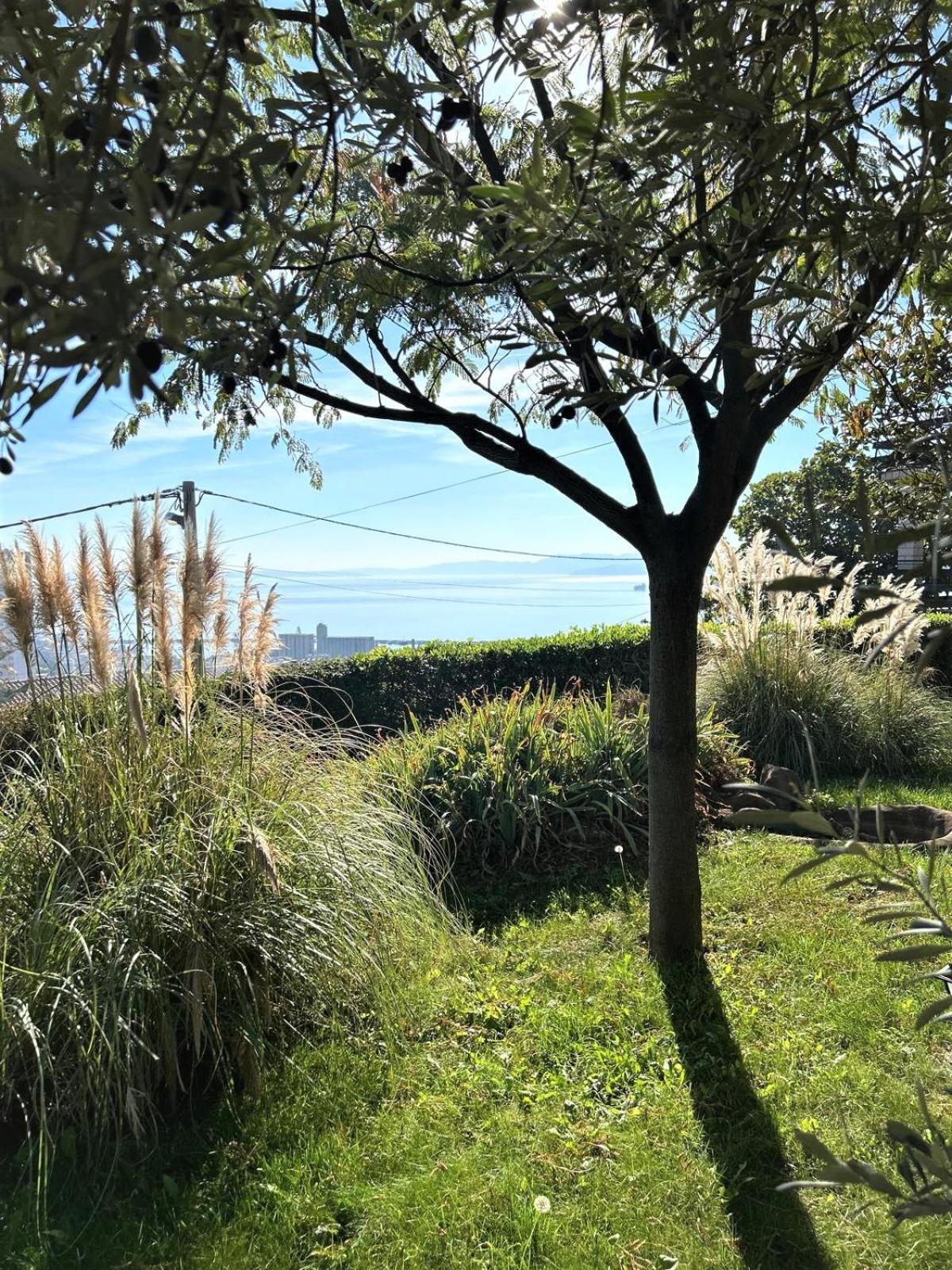 Apartment Mediterranean Garden Rijeka Eksteriør bilde