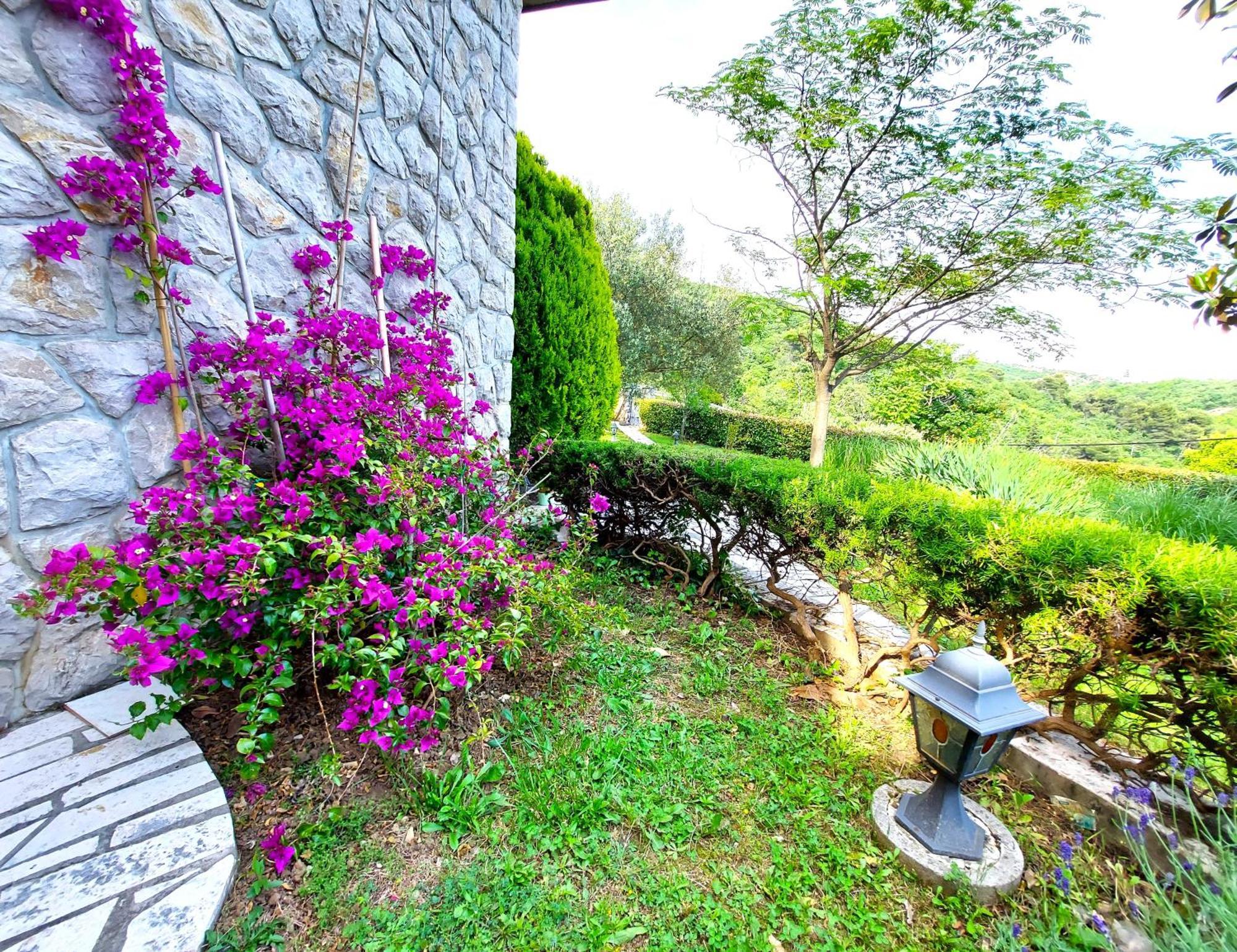 Apartment Mediterranean Garden Rijeka Eksteriør bilde